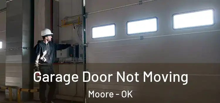  Garage Door Not Moving Moore - OK