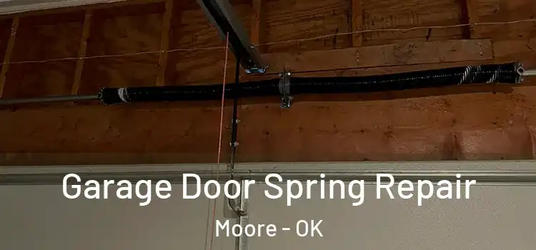  Garage Door Spring Repair Moore - OK